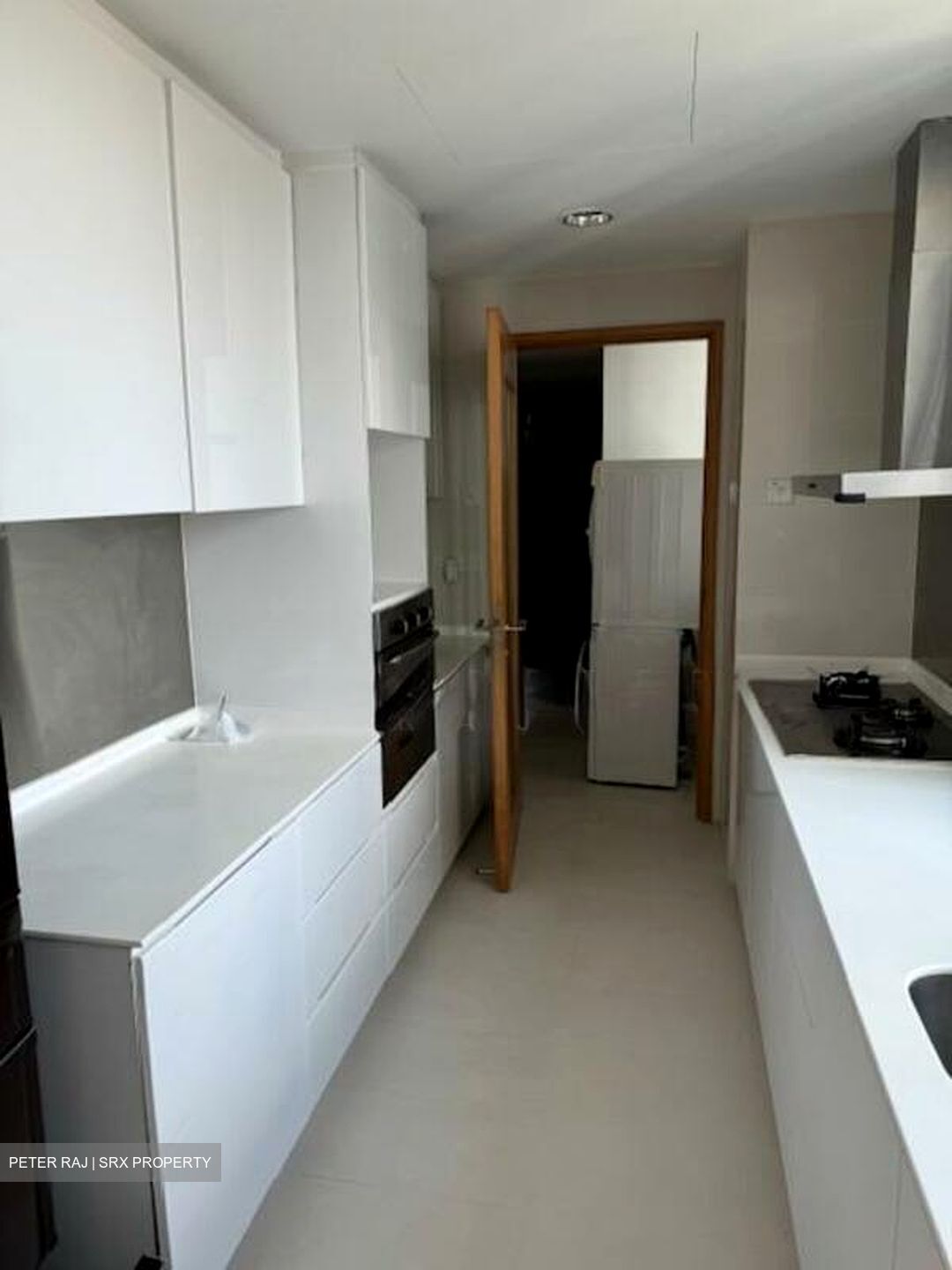 Park Infinia At Wee Nam (D11), Condominium #501931701